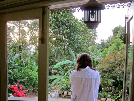 Amarasinghe Guesthouse Haputale, Sri Lanka