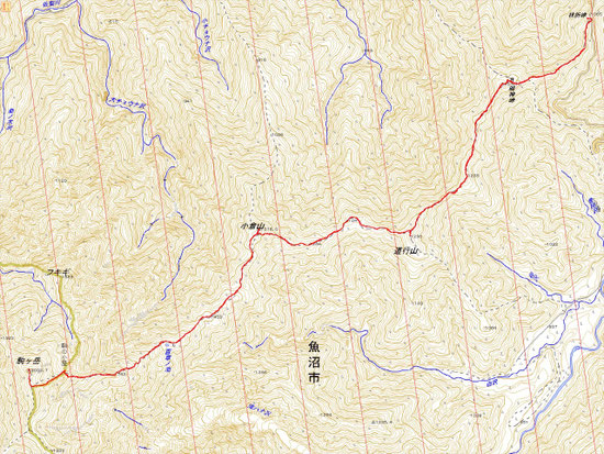 距離：15.5km　時間：9時間50分　累積標高差：約1,250m