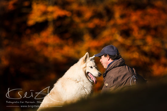 Hundeschule BALANCE