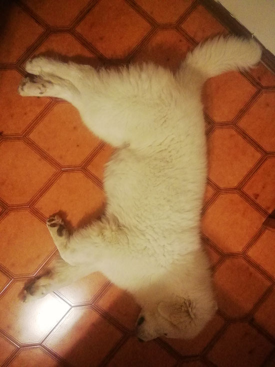 4 mesi... 