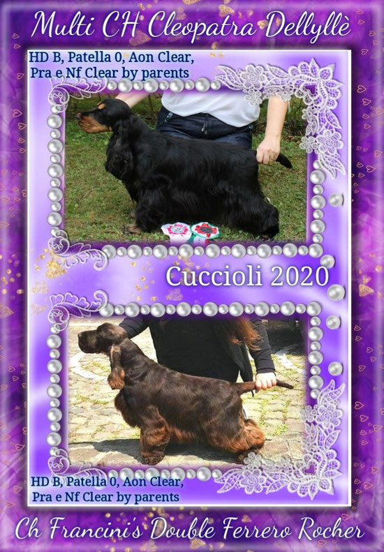 Cuccioli in arrivo 🐾🐾🐾