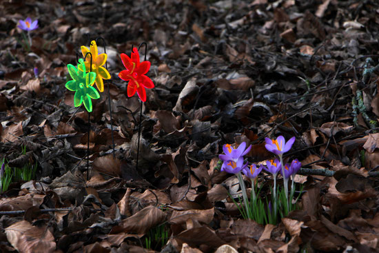 illuummi Leuchtblümchen