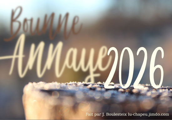 Carte de vœux Bounne Annaye / Annâye 2026 en lorrain roman !