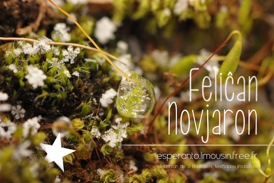 Carte de vœux en espéranto " Feliĉan Novjaron " : "Bonne Année"