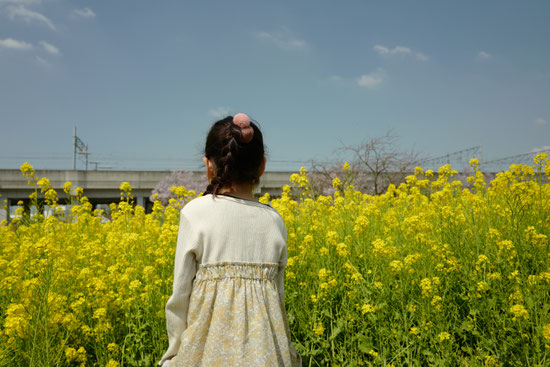 KiKa  PHOTOGRAPHY  Chika Isago  横浜　写真　フォトグラファー　photographer Japanese Japan  木　日本