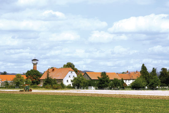 Hochzeit im Straßenheier Hof in Mannheim