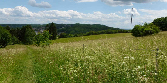 Blick vom Blömkeberg in Richtung Bethel auf den Eggeweg