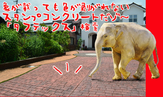 デザインコンクリート　スタンプコンクリート　ファンタジーコンクリート　ステンシルコンクリート　モルタル造形　