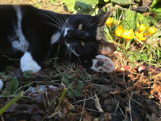 Frühling