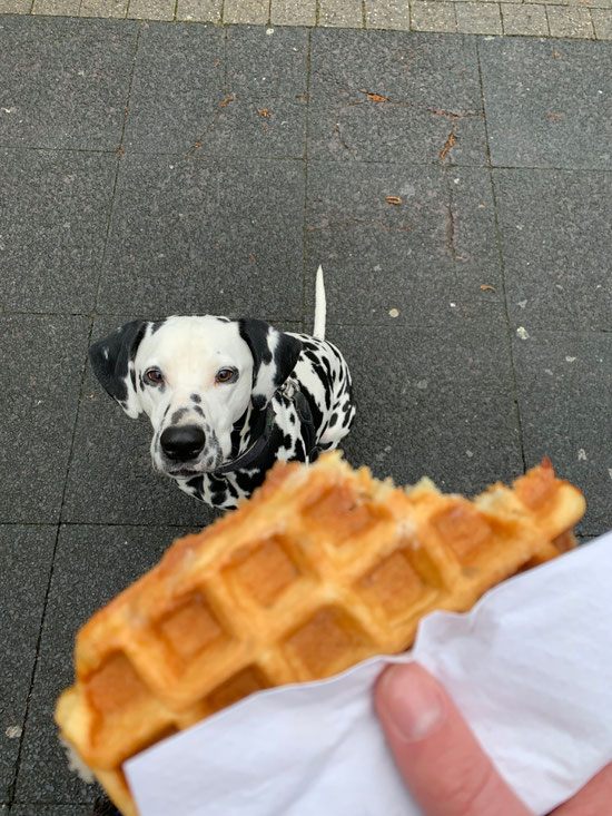 Belgische Waffeln in Antwerpen 