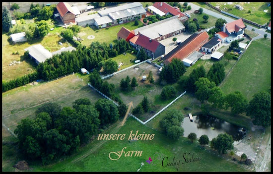Luftaufnahme August 2013