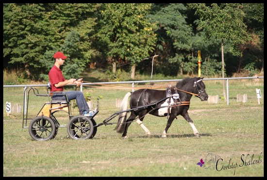 Coolstep Valesca
