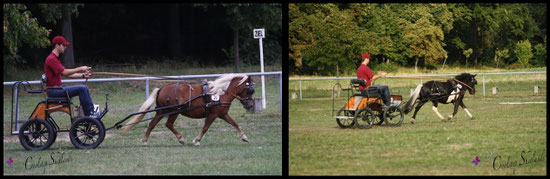 Romanze vom Purnitzgrund & Coolstep Valesca