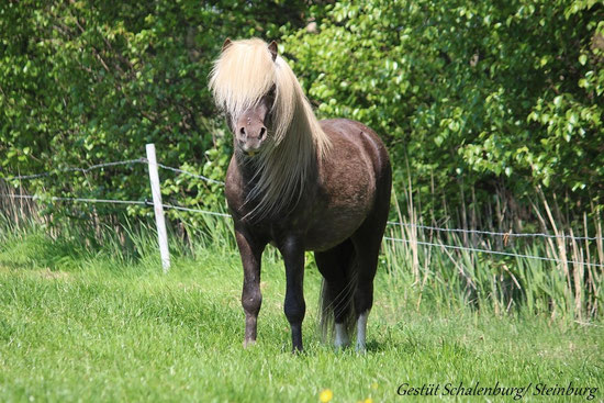 Lloyd, Foto: Tanja Ehlers
