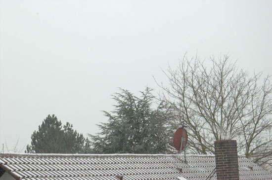 (c) S. Rieger   Schnee! - Snow!