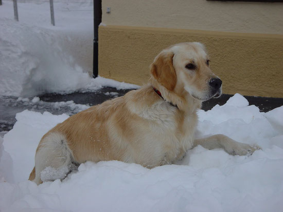 Ich bi gern im Schnee....