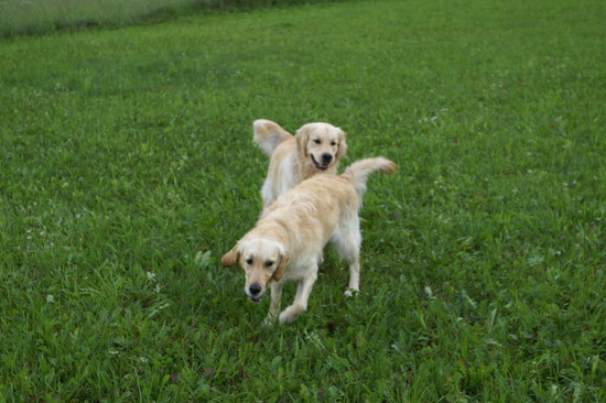 Spielzeit Sunny mit Aro