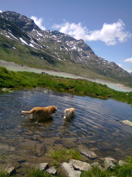 Bergsee die schönste Abkühlung di es gibt...