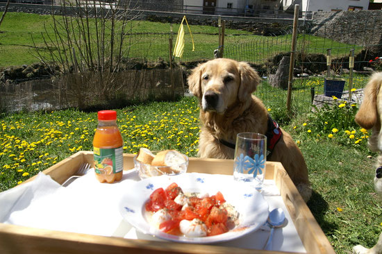 Food Time in the Garden