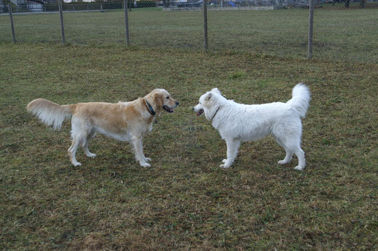 Sunny & Tjure