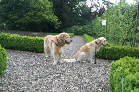 im Garten Eden...