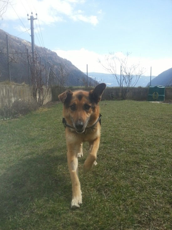 Lebensfreude pur Argo♥