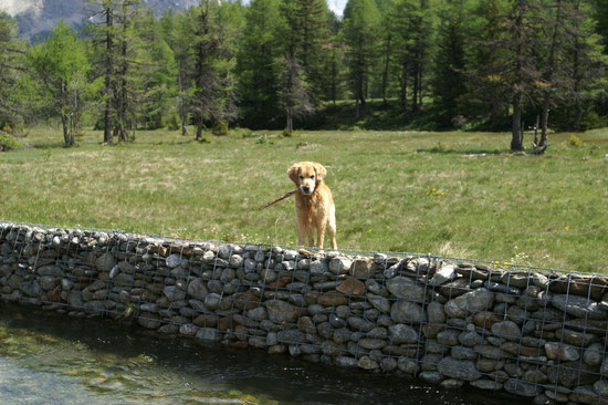 Arco am Bach