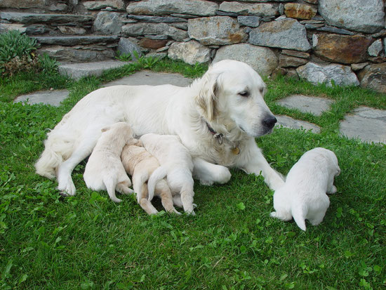 Mein Mama mit uns (das in der Mitte bin ich)