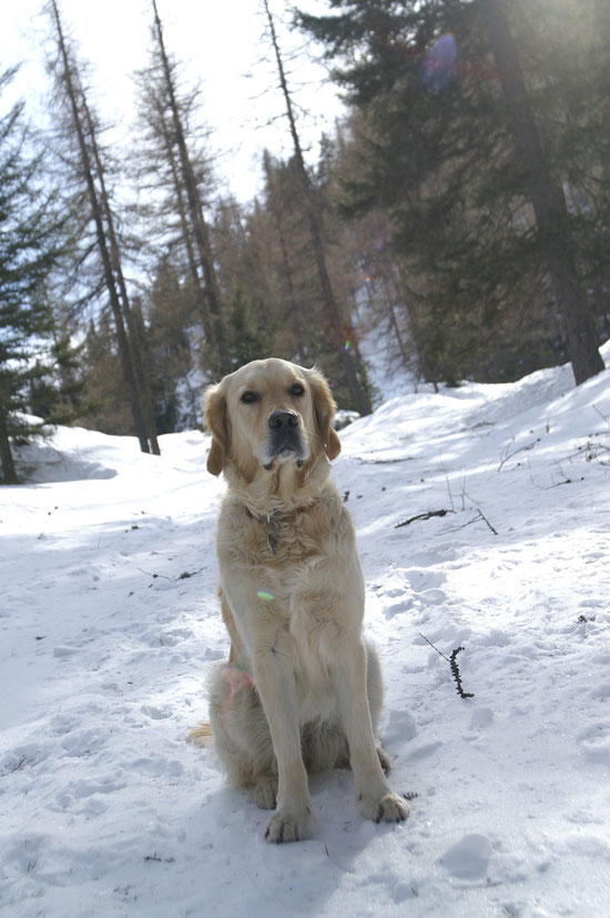 Cool im Schnee