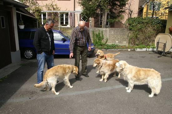 Rico & Hans im Goldenrudel