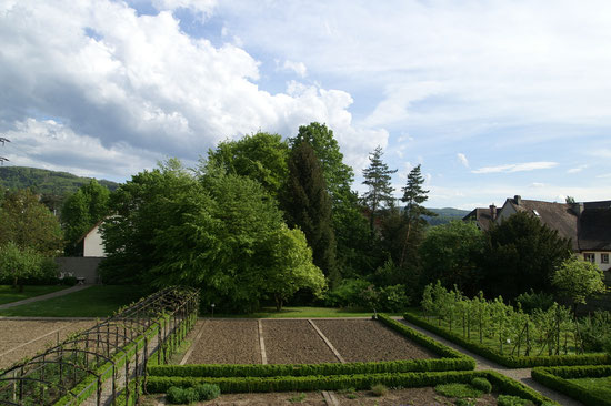 Green Paradies forever