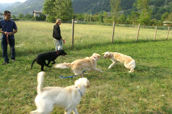 Spiel, Spass und Freude pur...