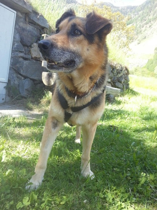 Argo ist ein Schnüggel♥