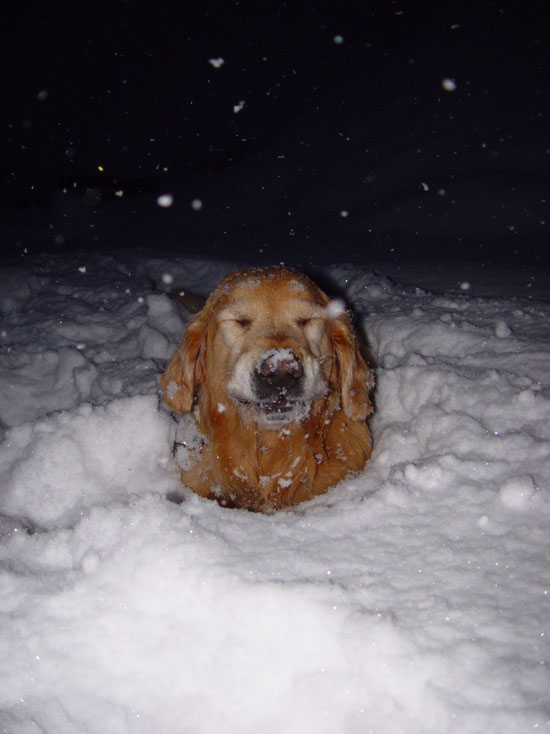Arco happy im Schnee
