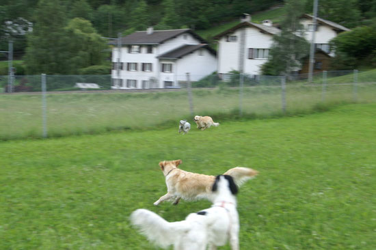 Viel Spass zusammen haben wir...