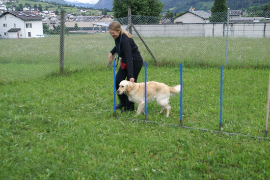 Stangen laufen