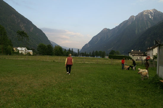 Hundeplatz Aldo Scoula di Cani