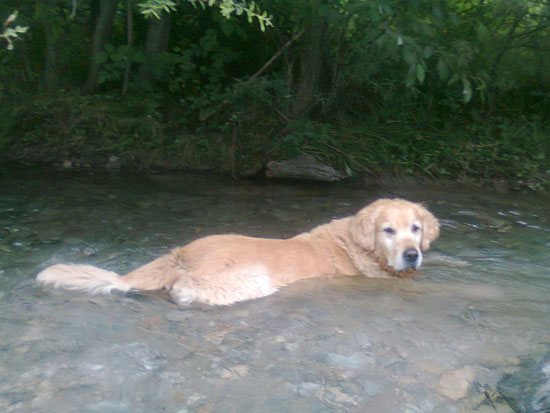 und gad numal im Wasser...