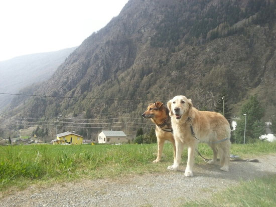 Argo e Sunshine ein  Dreamteam♥♥