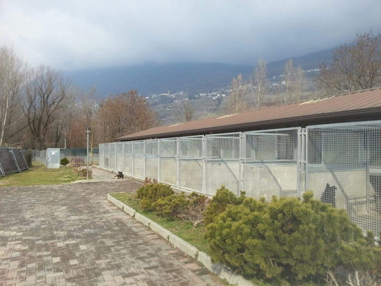 Das Canile Bustegga Sondrio
