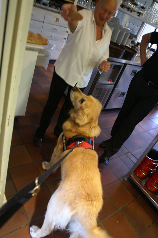 alle Kloster- Angestellten sind sehr äusserst Hundefreundlich!
