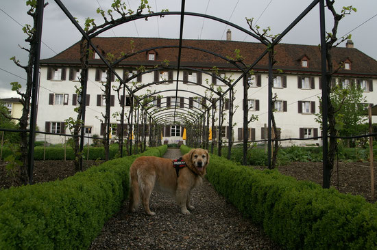 Arco vorem wunderschönä Kloster Dornach