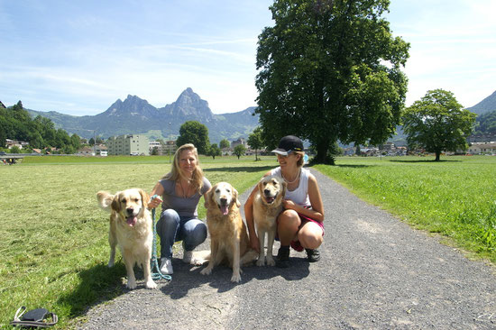 Da schlägt das Herz unseres Frauchen höher wenn wir andere Goldis treffen (von links Kim, Yvonne, Sina, Sunshine, Conny