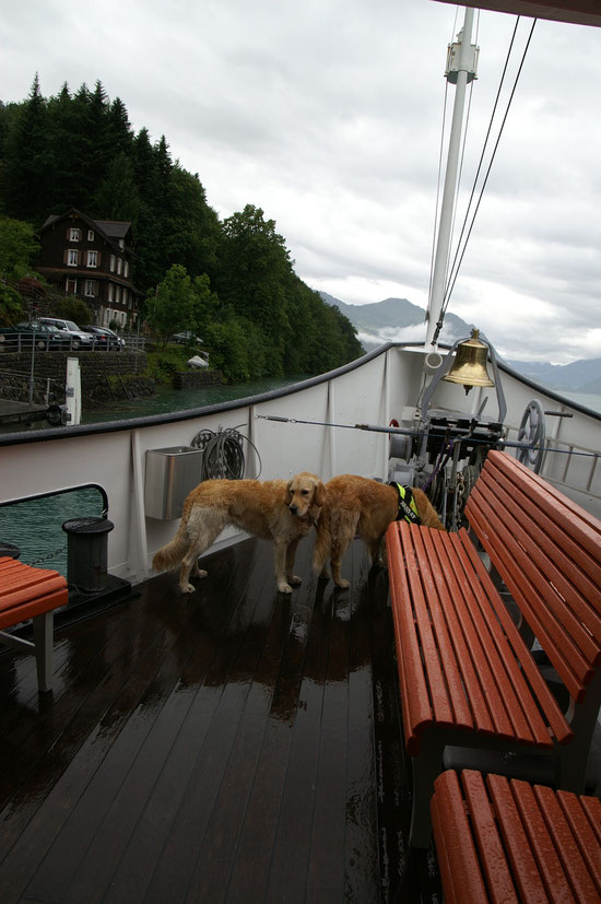 vorne an der Spitze/Reling