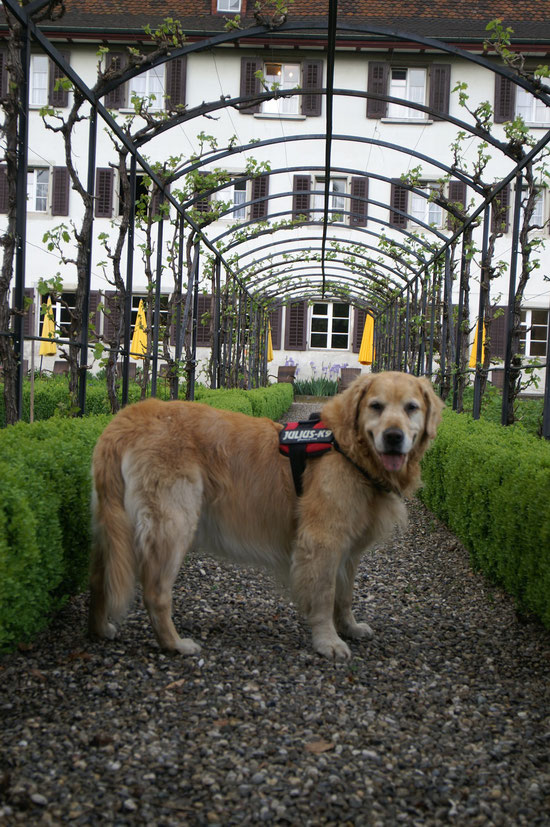 Im Kloster in Baselland Dornach