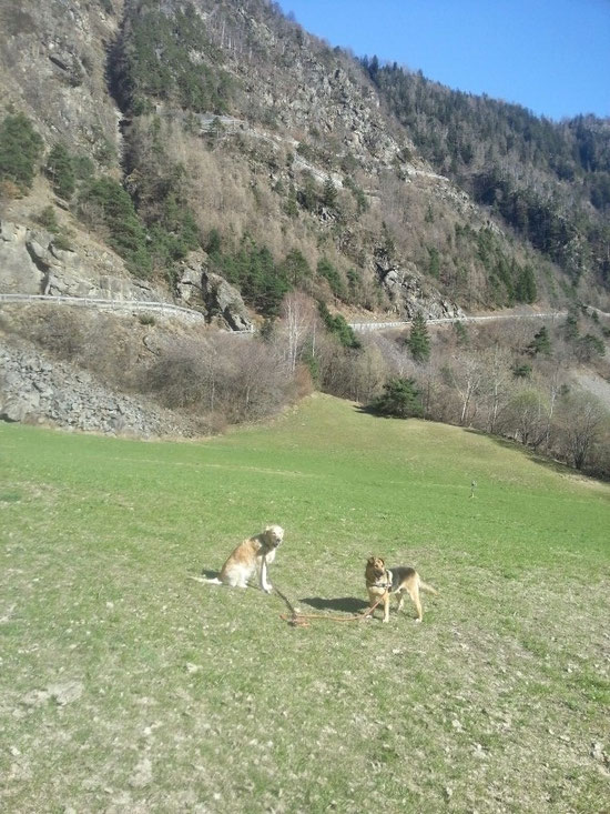 DER FRÜHLING IST ENDLICH DA HERRLICH ZUSAMMEN GENIESSEN