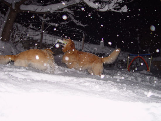 Spielen im Schnee am Abig mega toll...