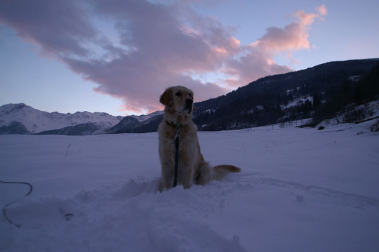 Im Schnee & Magic Abigrot