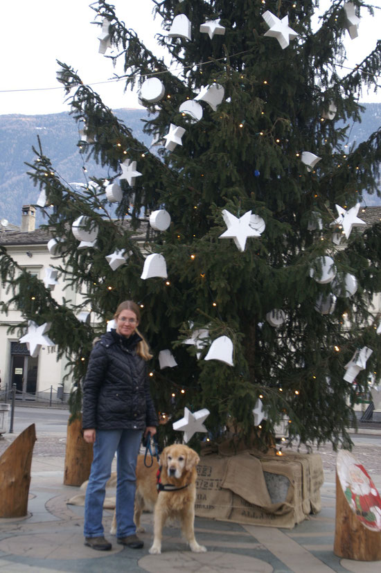 unterdem italienischem Weihnachtsbaum