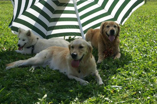Gruppäbild Arco Sunny  und Tjure